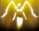 shy fly's Avatar