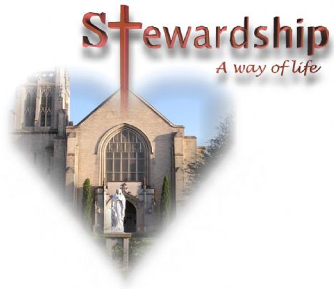 stewardship