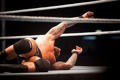 WWE 2013 Pic 2