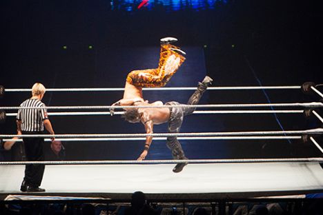 WWE 2013 Pic 4