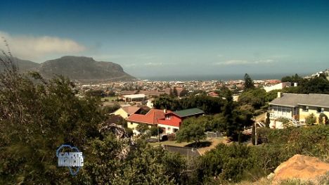 Fish Hoek Stalker Large