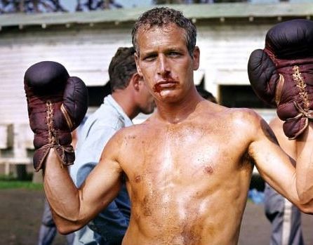 paul_newman_large