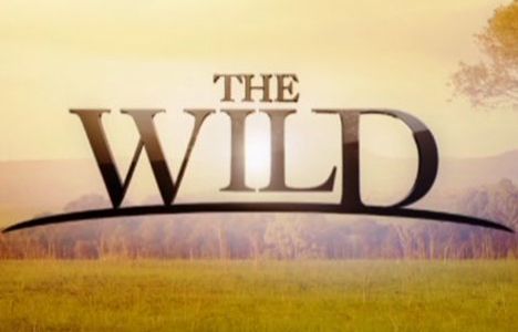 the_wild_large