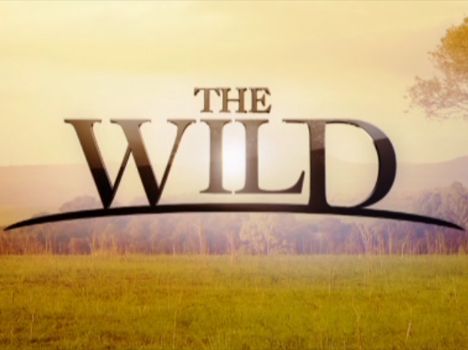 the_wild_large