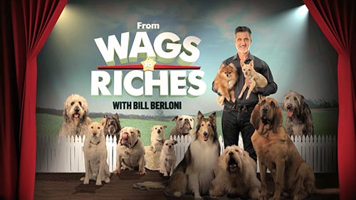 From Wags to Riches