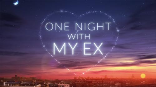 One Night With My Ex