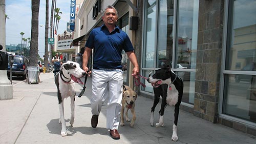 Dog Whisperer with Cesar Millan 4