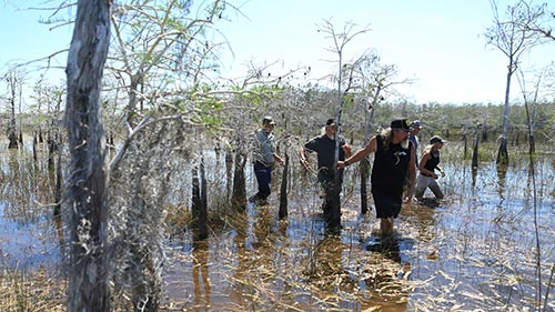 Guardians of the Glades