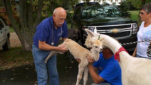 The Incredible Dr. Pol 8