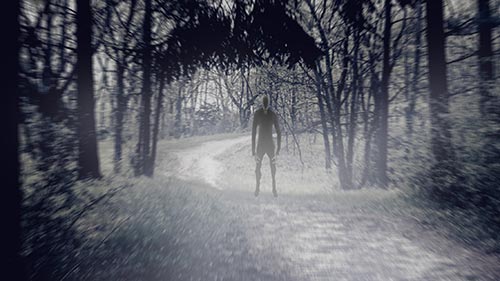 Slenderman: The Untold Story