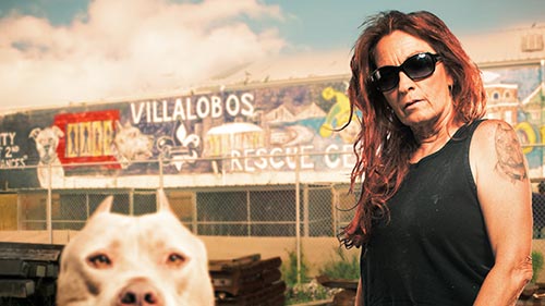 Pit Bulls & Parolees 10