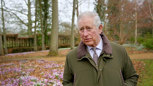 Charles: 50 Years a Prince