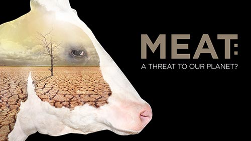 Meat: A Threat to Our Planet?