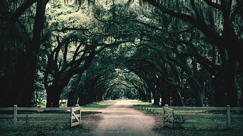 Southern Gothic