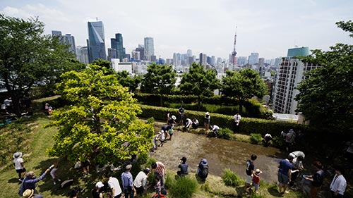 Wild Tokyo