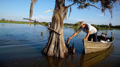 Swamp People 11