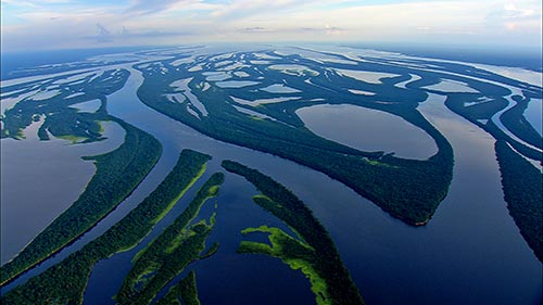 Wetlands