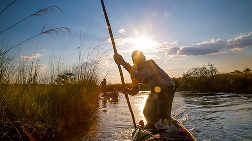 The Flood: Africa's Okavango