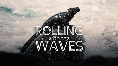 Coasts: Rolling with the Waves