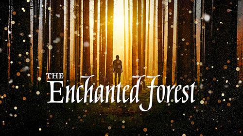 The Enchanted Forest