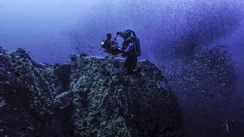 Shipwrecks: When History Resurfaces