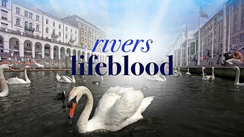 Rivers Lifeblood