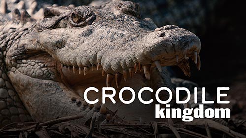 Crocodile Kingdom