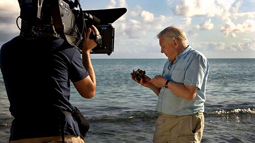 Attenborough's Journey