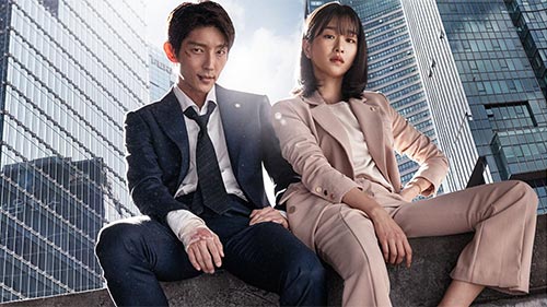 Lawless Lawyer