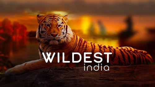 Wildest India