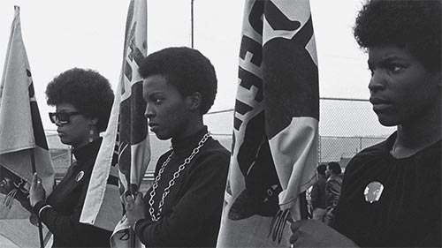 The Black Panthers: Vanguard of the Revolution