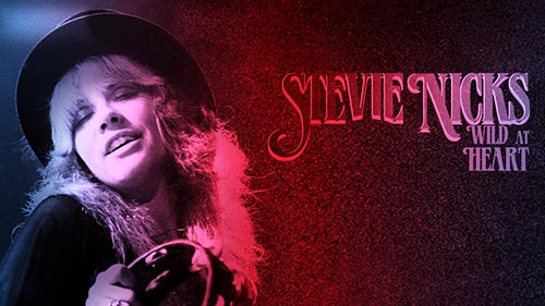 Stevie Nicks: Wild at Heart