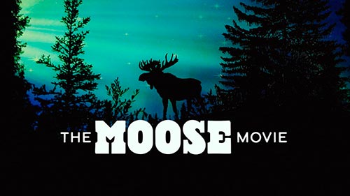 The Moose Movie