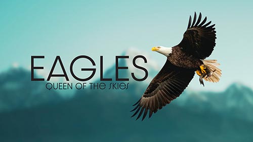 Eagle: Queen of the Skies