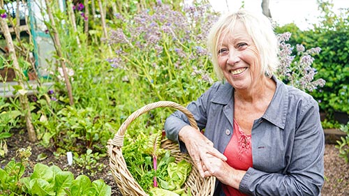 How to Garden with Carol Klein