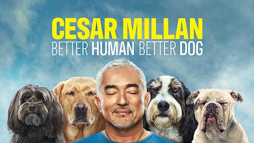 Cesar Millan: Better Human Better Dog