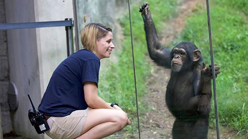 Secrets of the Zoo: North Carolina