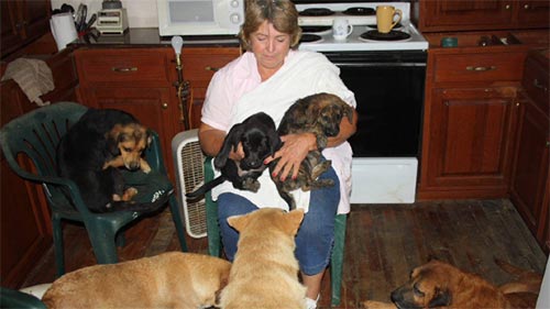 Confessions: Animal Hoarding