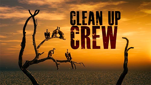 Clean Up Crew