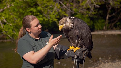 Alaska Animal Rescue: Critical Conditions