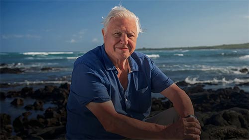 Attenborough's Global Adventure