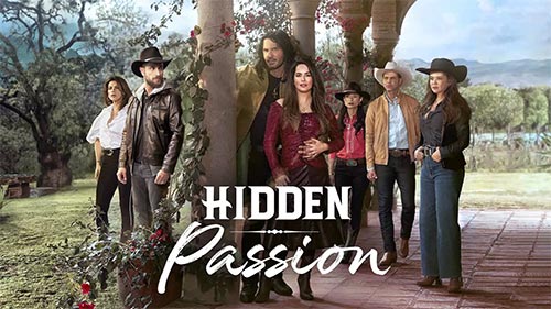 Hidden Passion 2