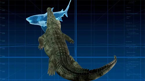 The Croc that Ate Jaws: Ancient Enemies