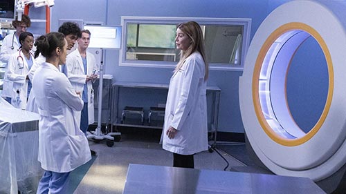 Grey's Anatomy 19