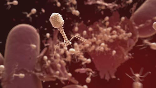 The Virus Within Us