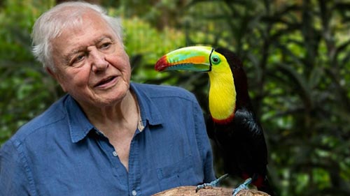 Life in Colour with David Attenborough