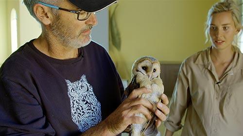 Owl Rescue