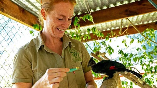 Malawi Wildlife Rescue