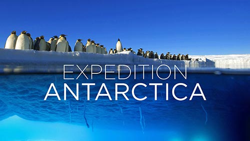 Expedition Antarctica