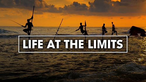 Life at the Limits